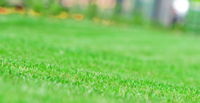 Turfing Southend, Essex