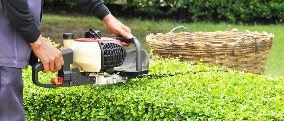 Garden Maintenance Southend, Essex